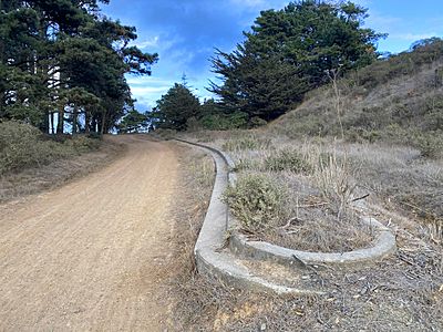 Marincello Median on trail