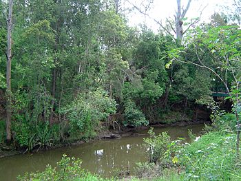 Moggill Creek Kenmore.JPG