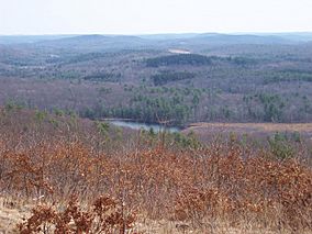 MohawkStateForest.jpg