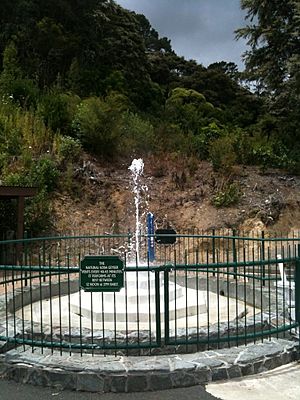 Mokena Hou Geyser