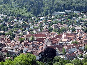 Mosbach Merianblick 3.JPG