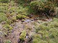 Murrumbidgee Headwater Peppercorn Hill (3)