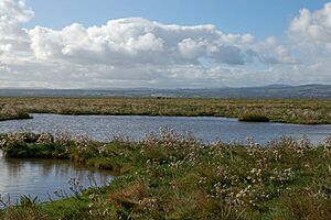 Parkgatemarsh