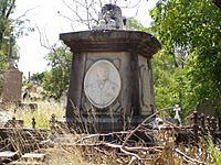 Peterjacksonboxer grave