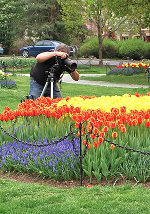 PhotographerWashingtonPark