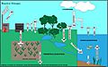 Reactive Nitrogen Global Annual Fluxes