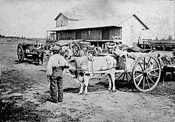 Red River carts at railway station station(cropped)