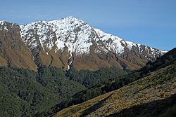 Snow-dusted Ben Lomond from near beginning of Ben Lomond track.jpg