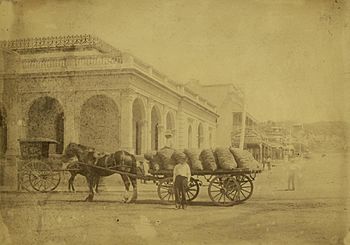 StateLibQld 1 255803 Union Bank building in Flinders Street, Townsville, ca. 1890