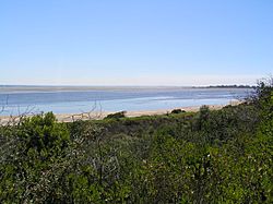 Swan Bay from Queenscliff 002.jpg