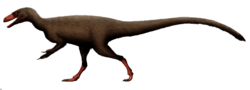 Tanycolagreus reconstruction