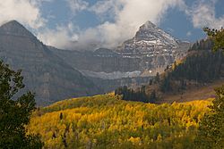 Uinta-national-forest-banner02