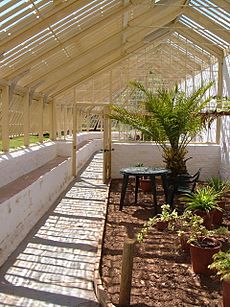 Vinery, Greenway House - geograph.org.uk - 191217