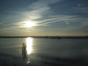 Yolo Bypass