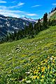 Pfeifferhorn in the distance from Mt. Superior