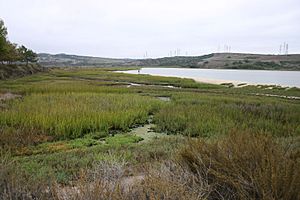 Agua Hediona Lagoon 4