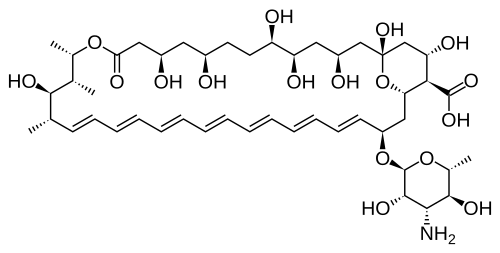 Amphotericin B structure