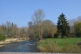 Armançon a Cry DSC 0184