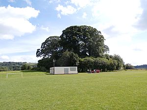 BamptonCastleDevonMotte