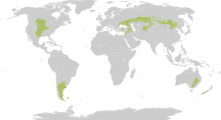 Biome map 08