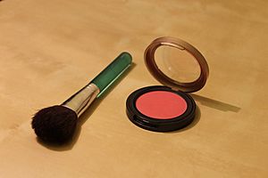 Blush and blush brush