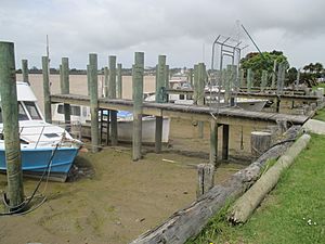 Boats Moored in Dargaville