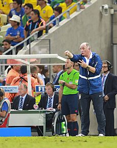 Brazil and Colombia match at the FIFA World Cup 2014-07-04 (21)