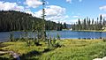 Bridal Lake Kootenay Pass