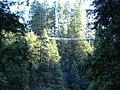 Capilano Suspension Bridge 2