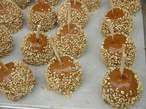 Caramel Peanut Candy Apples 2592px