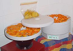 Food dehydrator