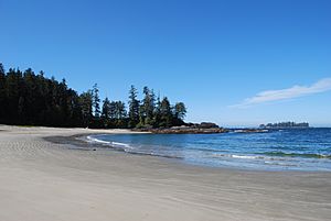 Halfmoon Bay.Near Ucluelet BC.Pacific Rim National Park Reserve.2521