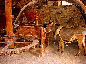 Horse mill 045493