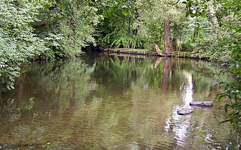 Ilmenau bei Uelzen.jpg