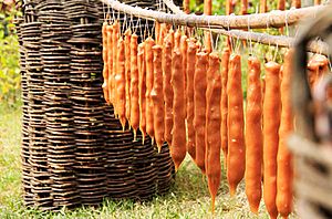 Kakheti, Georgia — Churchkhela