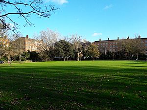 Merrion Square, Nov 2017