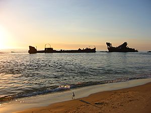 Moreton Island shipwrecks