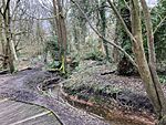 Burnt mounds at Moseley Bog