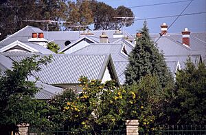 MountLawleyRooftops gobeirne