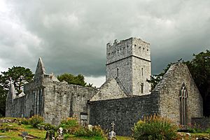 Muckross Abbey Friary 2014