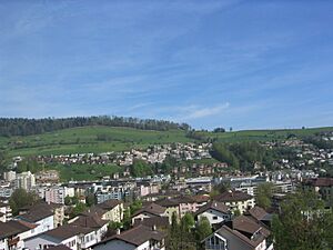 Pilatus2006 picture 157