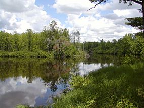 Reflectionlake.jpg