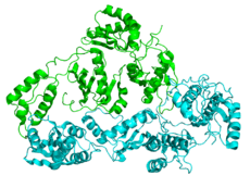 Reverse Transcriptase 1HMV