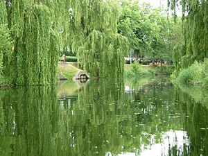 River Welland, Spalding - geograph.org.uk - 191346