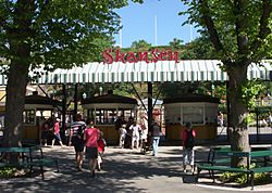 Skansen huvudentre 2010.jpg