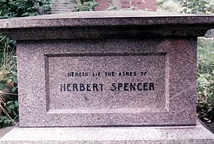 Spencer Herbert grave