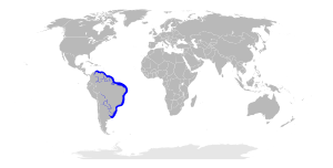 Sphyrna tudes distribution map.svg