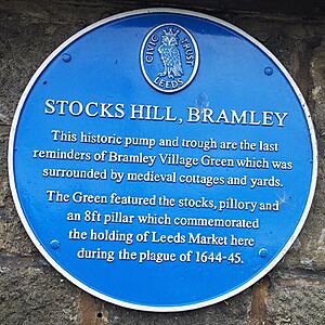 Stocks Hill Bramley Blue Plaque