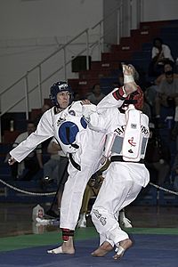 Taekwondo Fight 01