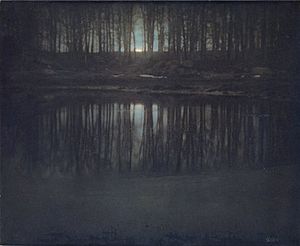 ThePondMoonlight